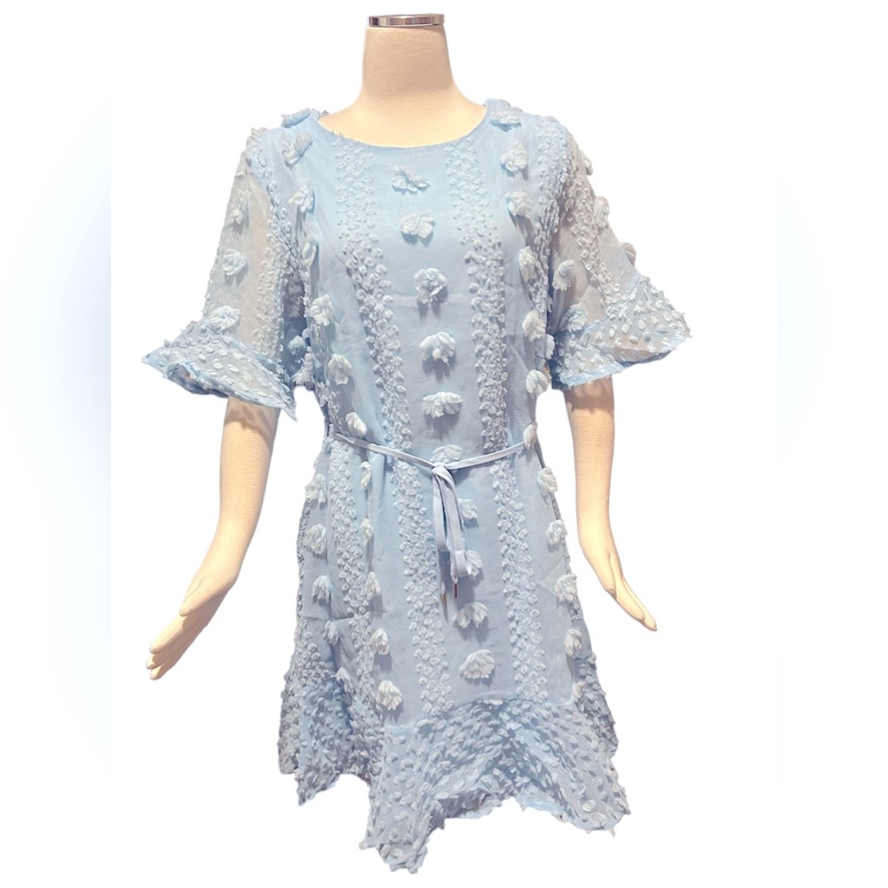 NWOT Swiss dot dress